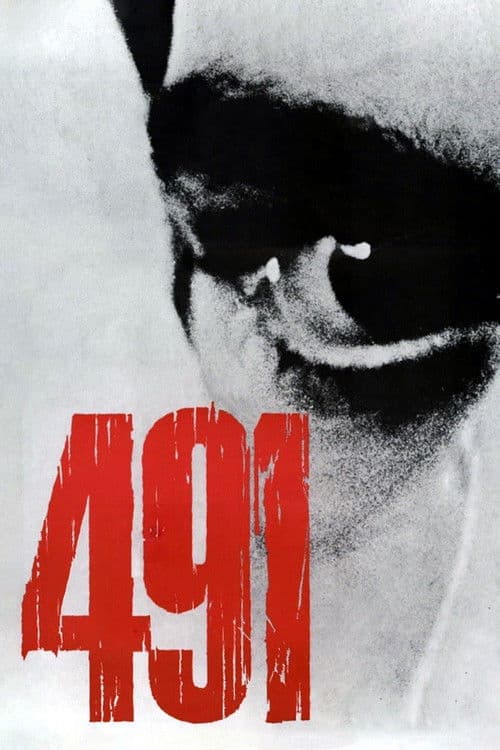 491 movie poster