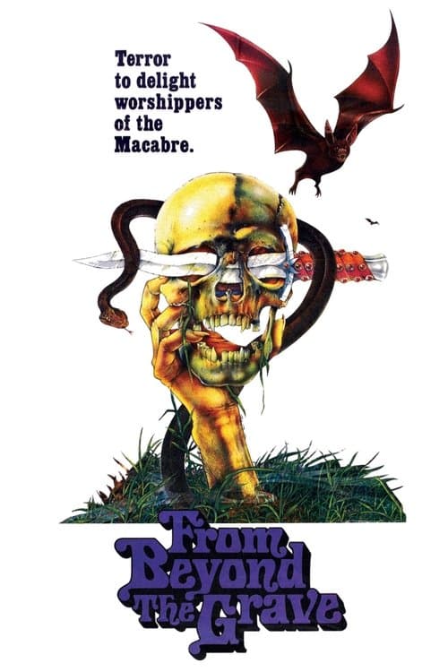 From Beyond the Grave movie poster