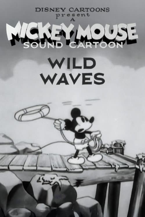 Wild Waves movie poster