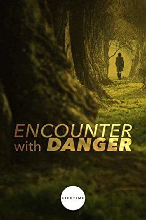 Encounter with Danger movie poster
