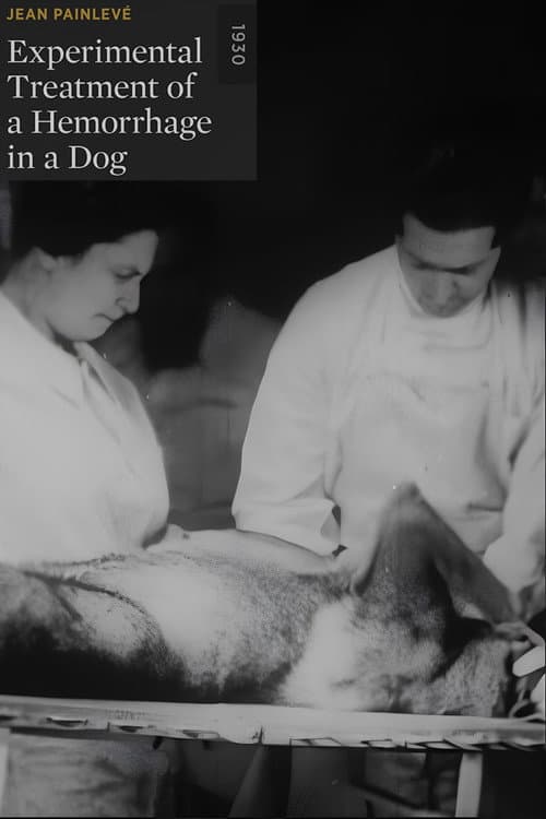 Experimental Treatment of a Hemorrhage in a Dog movie poster