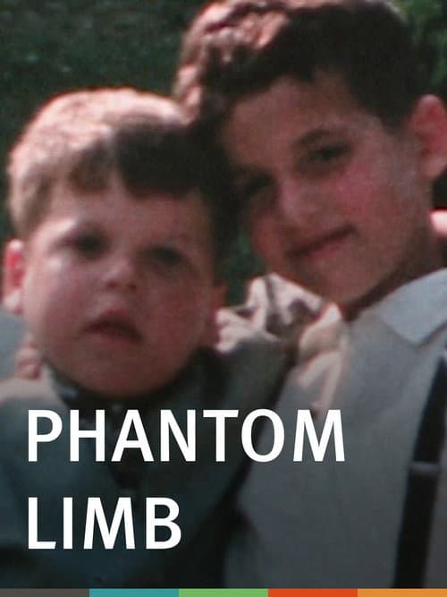 Phantom Limb movie poster