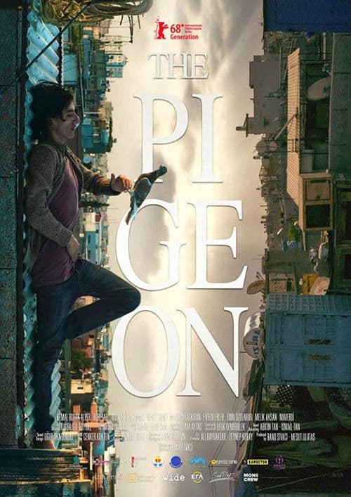 The Pigeon movie poster