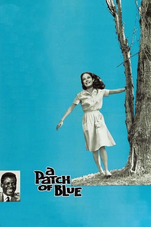 A Patch of Blue movie poster