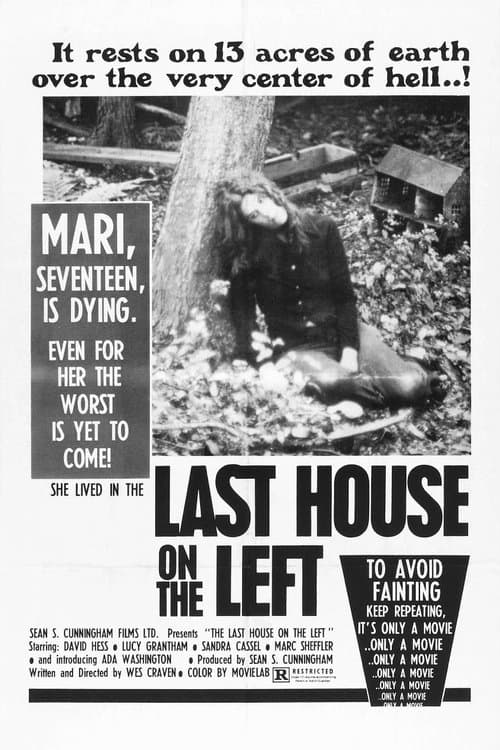 The Last House on the Left movie poster