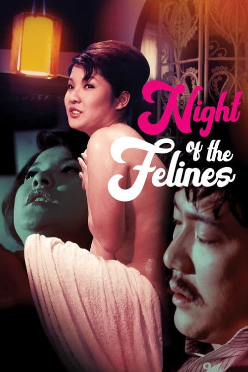 Night of the Felines movie poster