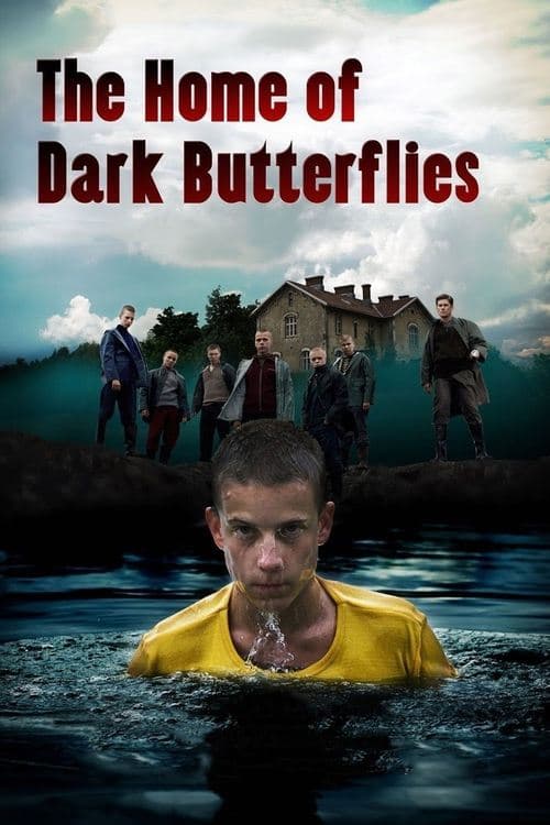 The Home of Dark Butterflies movie poster