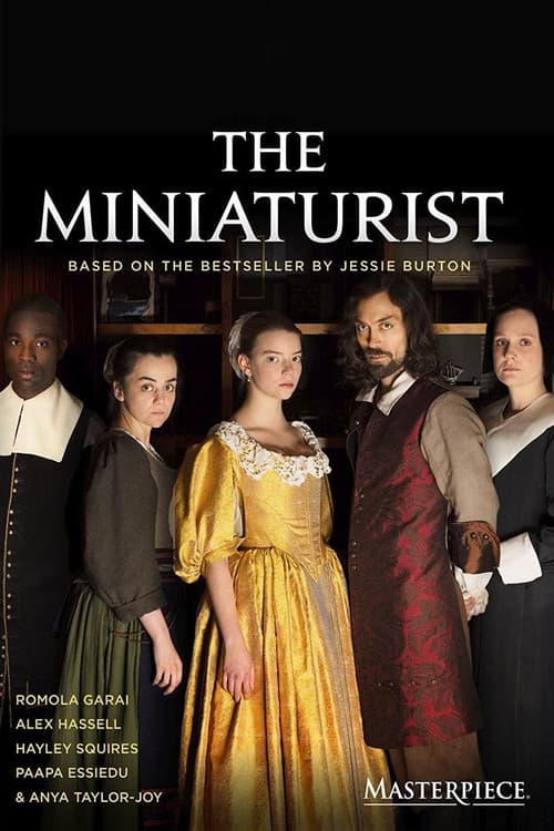 The Miniaturist movie poster