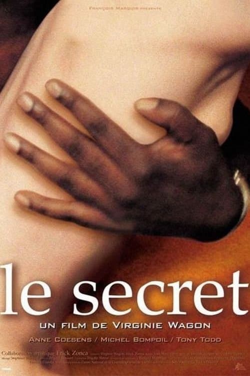 The Secret movie poster