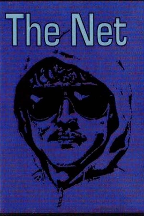 The Net movie poster