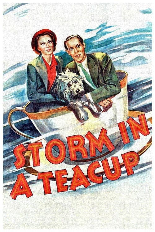 Storm in a Teacup movie poster