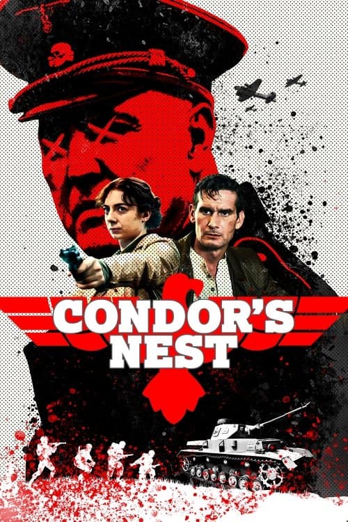 Condor's Nest movie poster