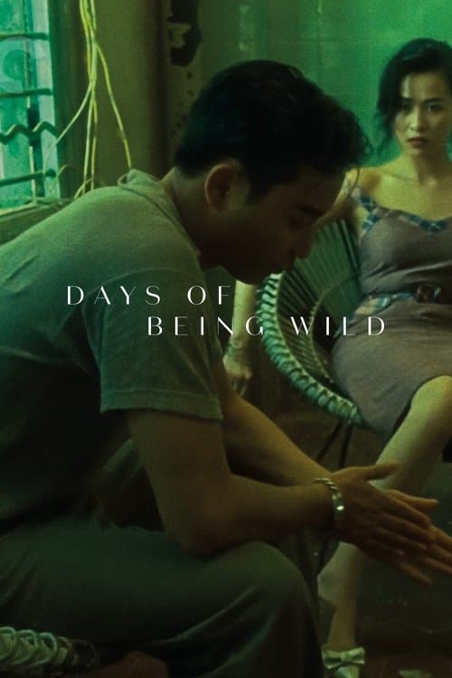 Days of Being Wild movie poster