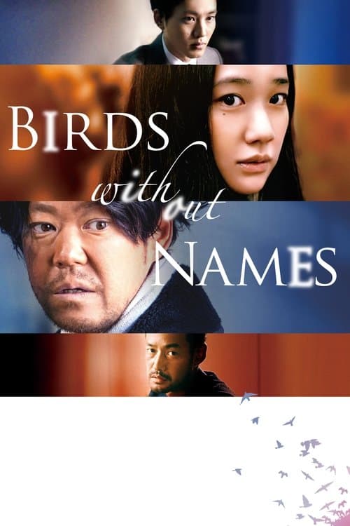 Birds Without Names movie poster