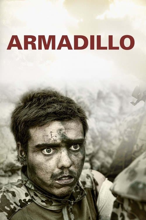Armadillo movie poster