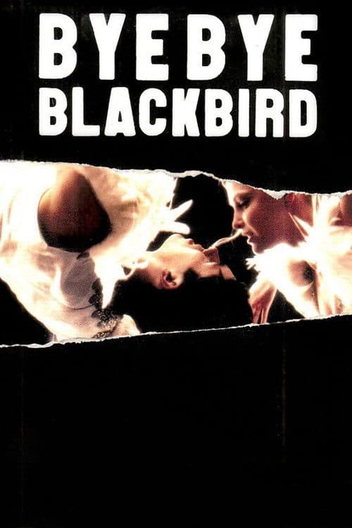 Bye Bye Blackbird movie poster
