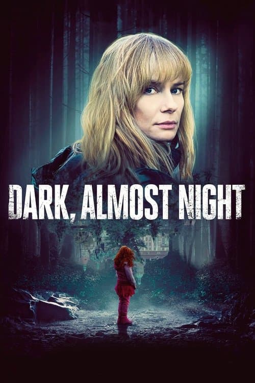Dark, Almost Night movie poster