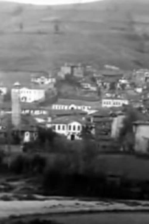 Panorama of the City of Grevena movie poster