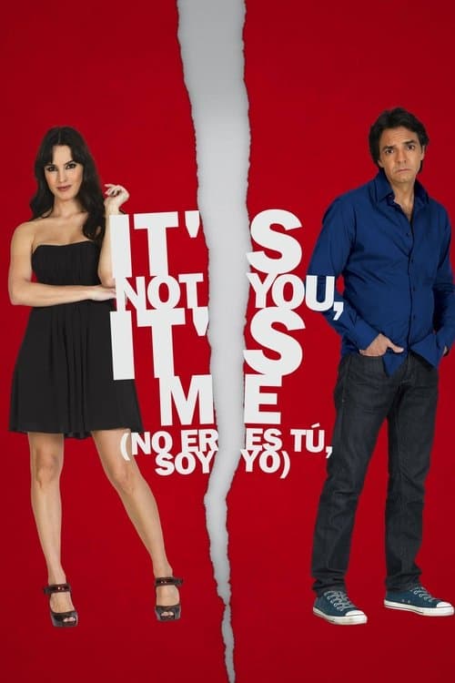 It's Not You, It's Me movie poster