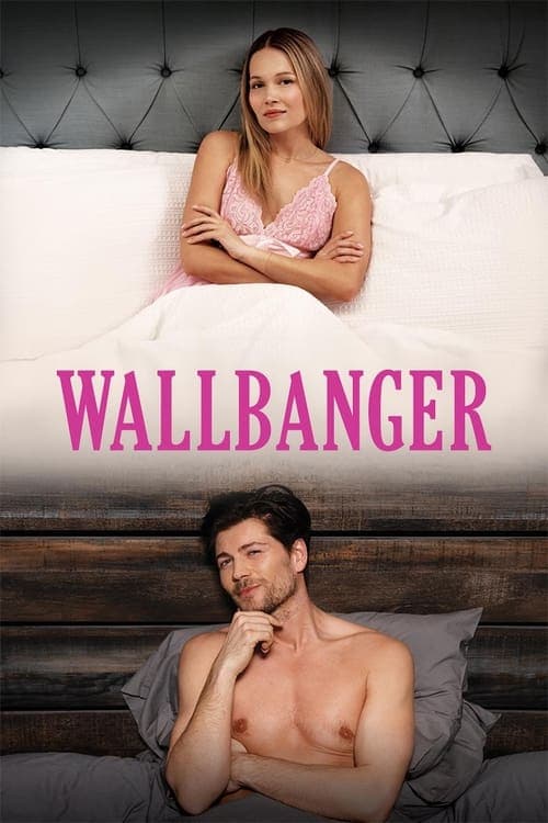 Wallbanger movie poster