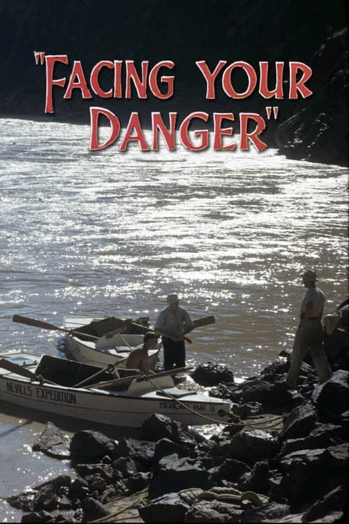 Facing Your Danger movie poster