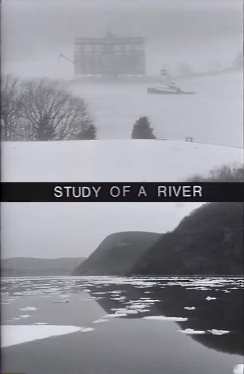 Study of a River movie poster