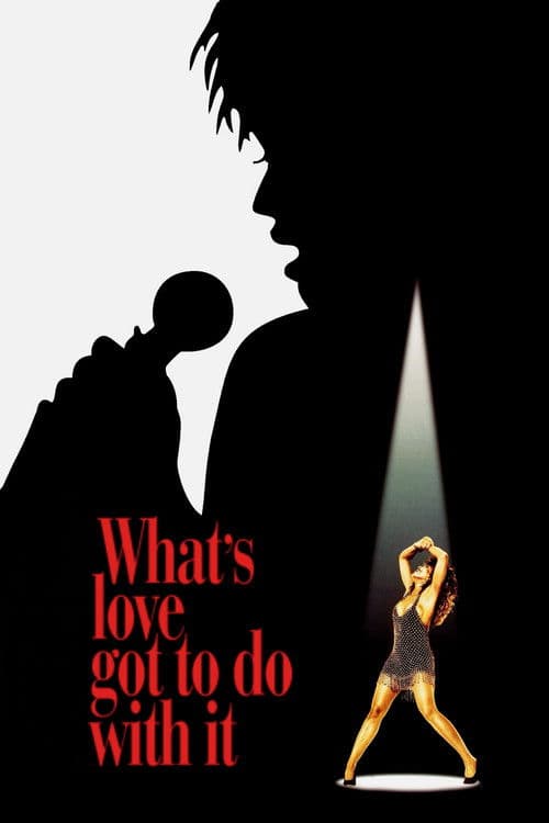 What's Love Got to Do with It movie poster