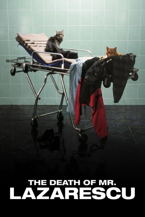 The Death of Mr. Lazarescu movie poster