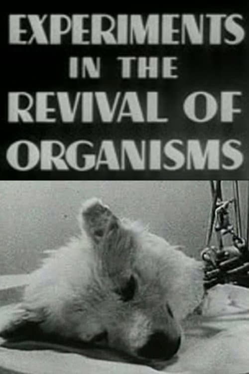 Experiments in the Revival of Organisms movie poster
