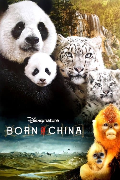 Born in China movie poster