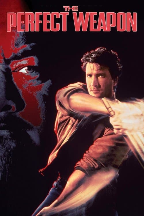 The Perfect Weapon movie poster