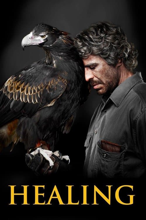 Healing movie poster