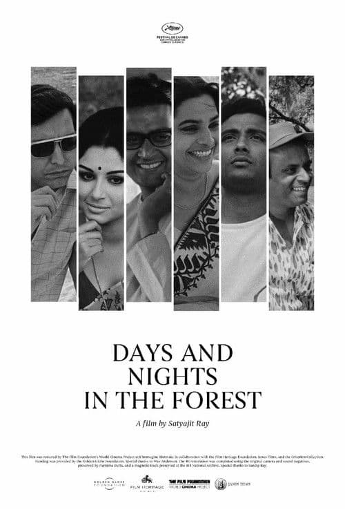 Days and Nights in the Forest movie poster