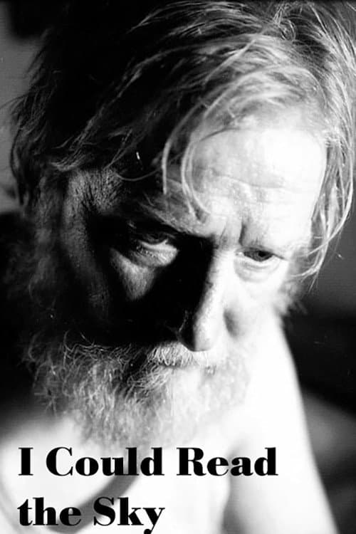 I Could Read the Sky movie poster