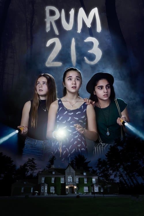 Room 213 movie poster