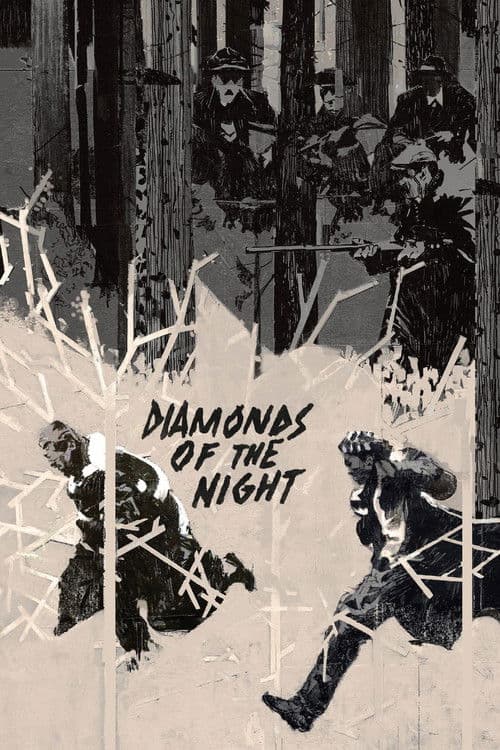 Diamonds of the Night movie poster