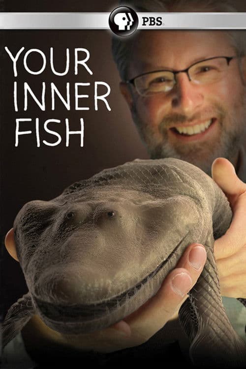 Your Inner Fish movie poster