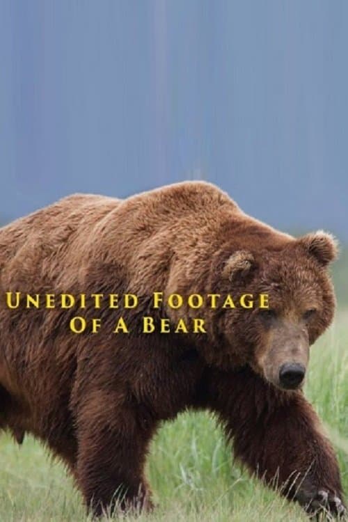 Unedited Footage of a Bear movie poster