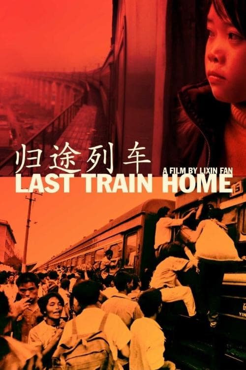 Last Train Home movie poster