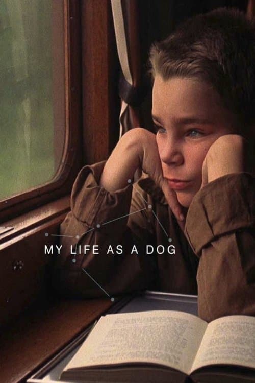 My Life as a Dog movie poster