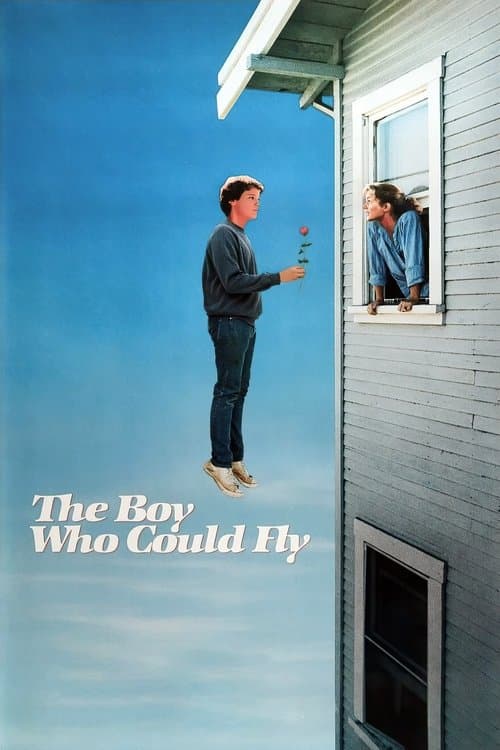 The Boy Who Could Fly movie poster