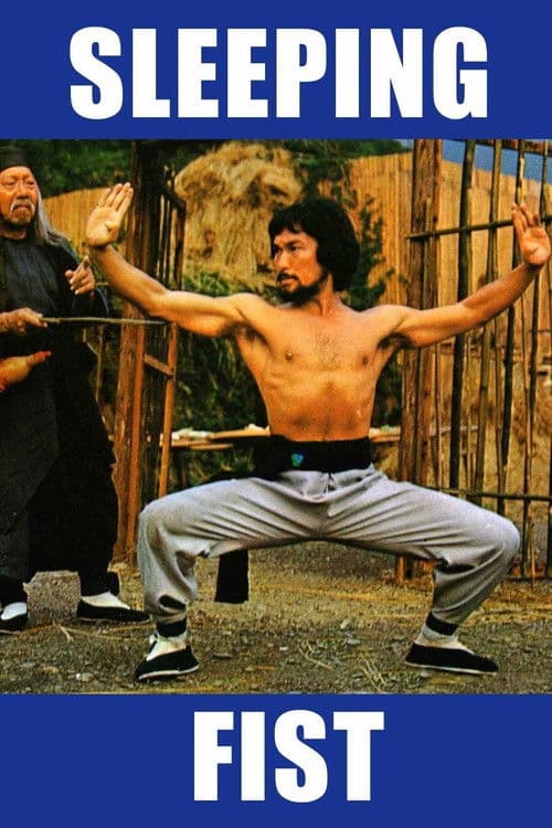 Sleeping Fist movie poster