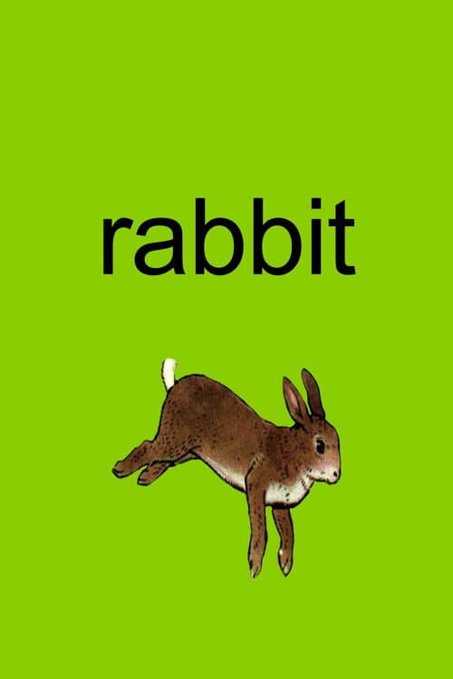 Rabbit movie poster
