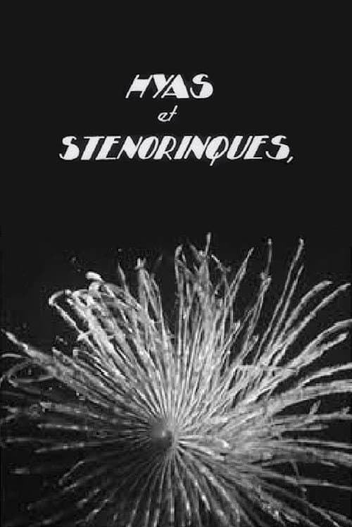 Hyas and Stenorhynchus movie poster