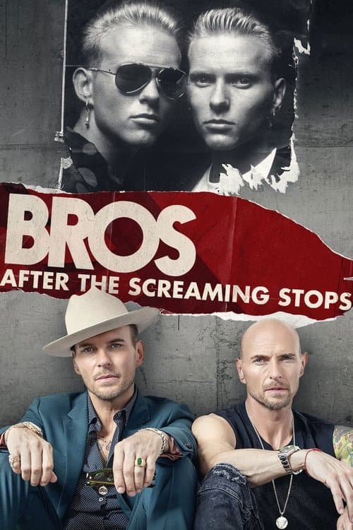 After the Screaming Stops movie poster