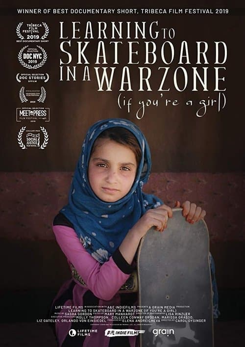 Learning to Skateboard in a Warzone (If You're a Girl) movie poster