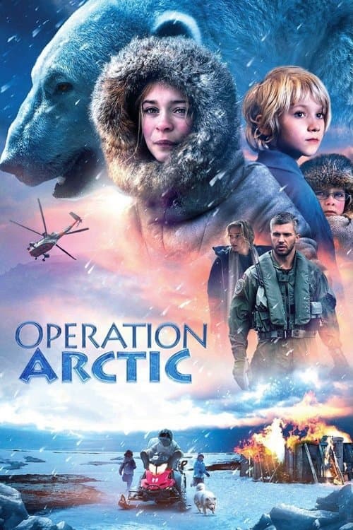 Operation Arctic movie poster