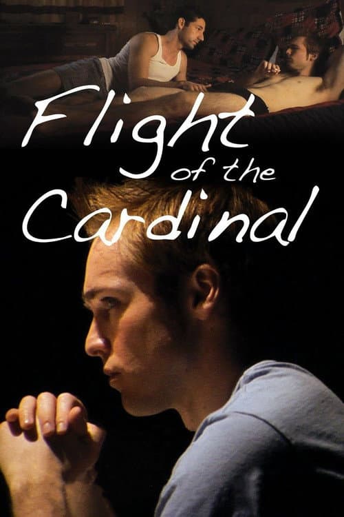 Flight of the Cardinal movie poster