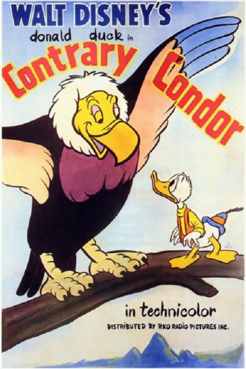 Contrary Condor movie poster