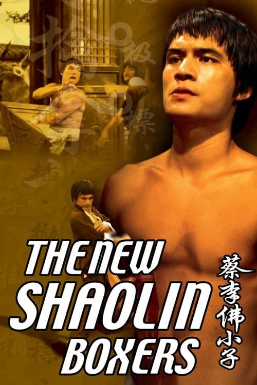 The New Shaolin Boxers movie poster